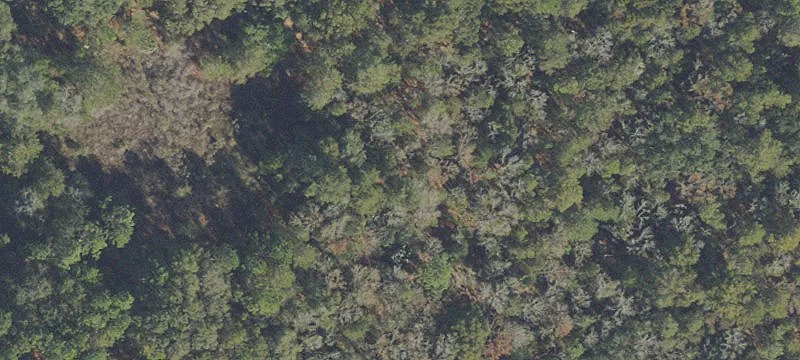 Ocala, FL 34473