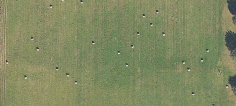 Alachua, FL 32615