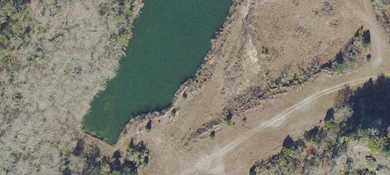 Reddick, FL 32686