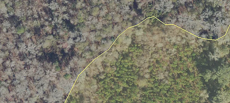 Micanopy, FL 32667