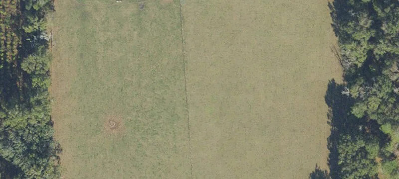 Newberry, FL 32669