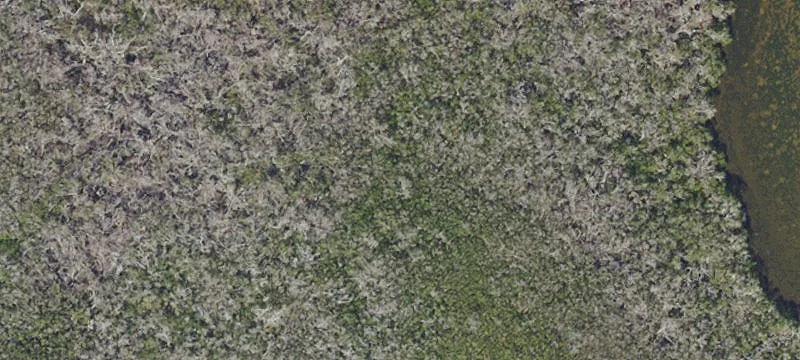 Saint James City, FL 33956