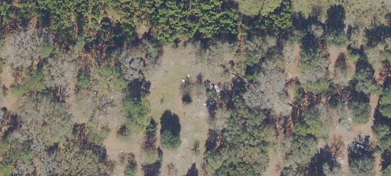 Hawthorne, FL 32640