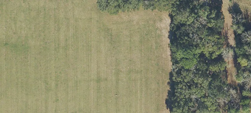 Newberry, FL 32669