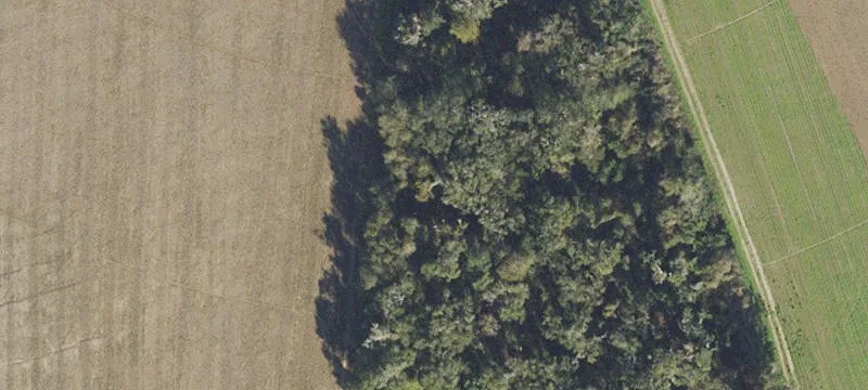 High Springs, FL 32643