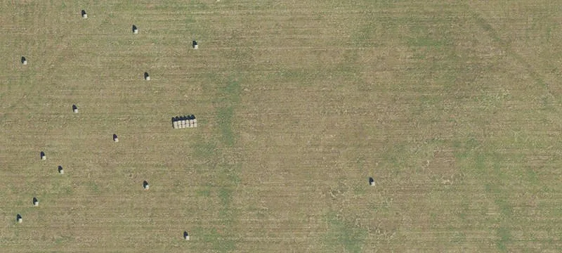 High Springs, FL 32643