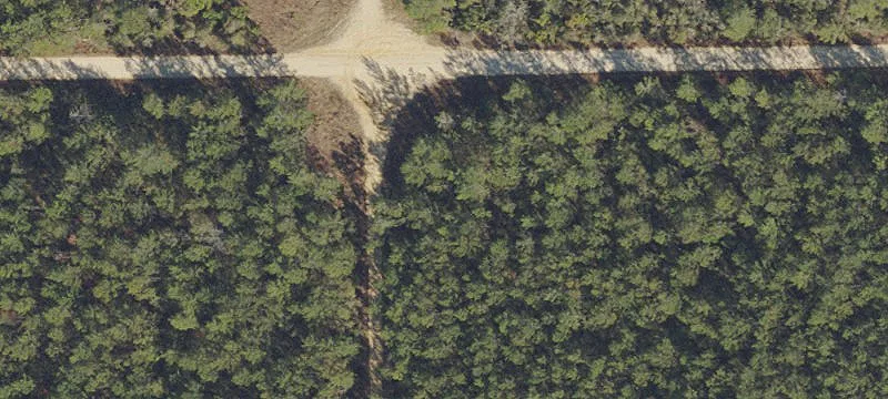 19351 Hwy 314