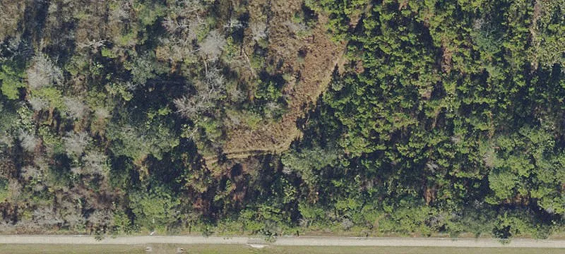 Flagler Beach, FL 32136