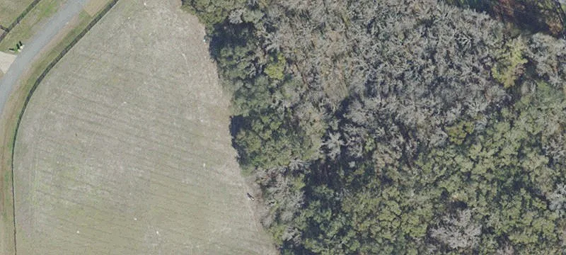 Micanopy, FL 32667