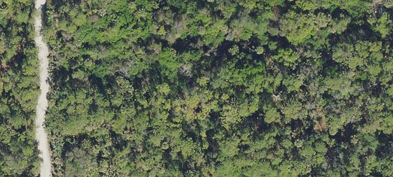 Bonita Springs, FL 34135