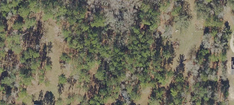 Waldo, FL 32694