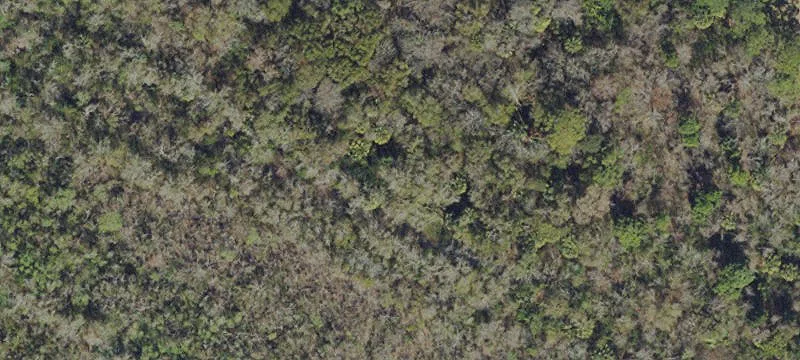 Holiday, FL 34691