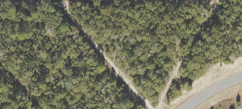 Technology Ave