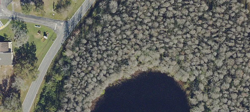 Lutz, FL 33558