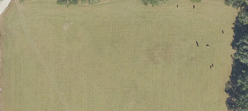 Newberry, FL 32669