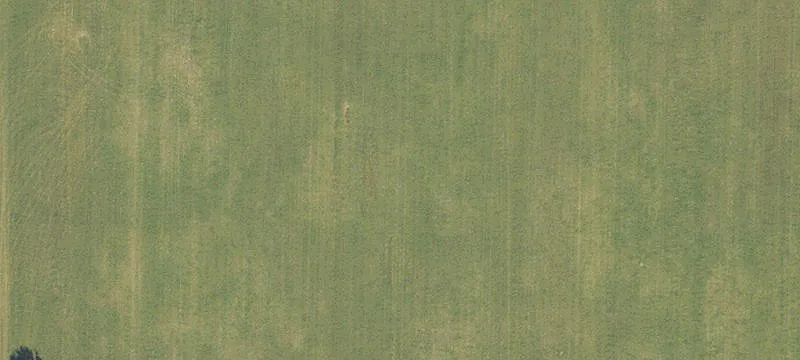 Alachua, FL 32615