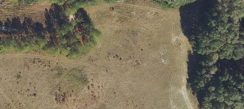 Live Oak, FL 32060