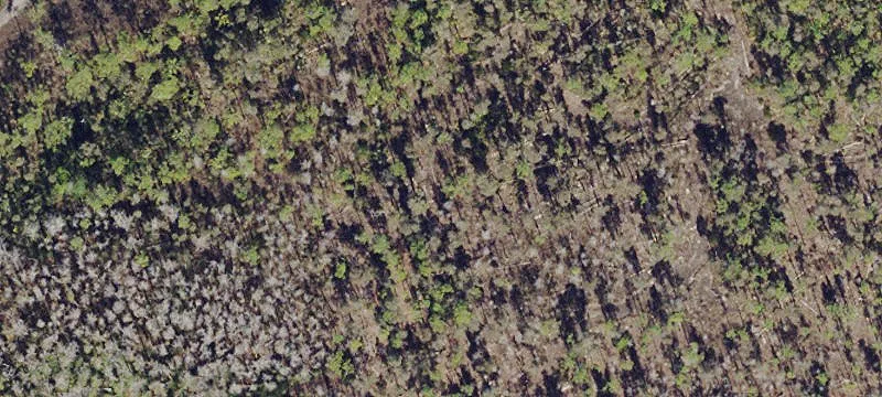 Bonita Springs, FL 34135