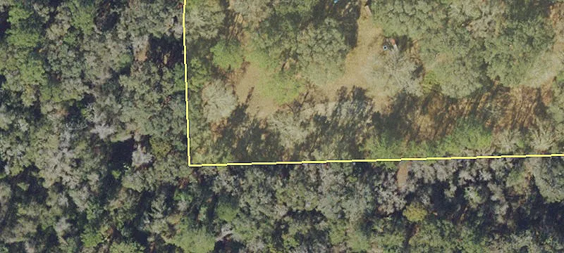 Hawthorne, FL 32640