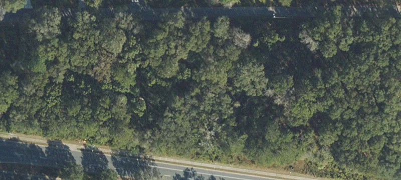 14619 Us Hwy 441