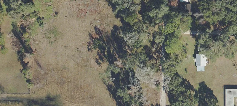 Ocklawaha, FL 32179
