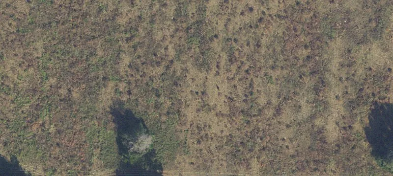 Archer, FL 32618