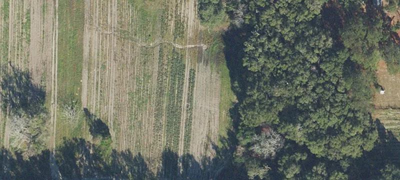 Archer, FL 32618