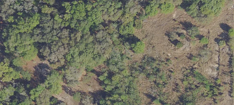Weirsdale, FL 32195