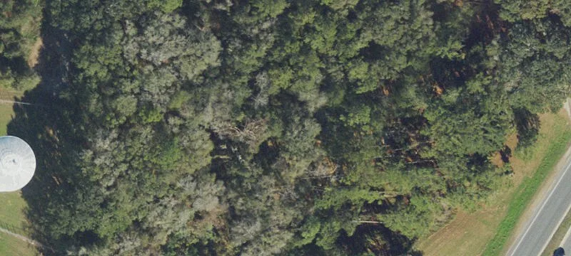 Live Oak, FL 32060
