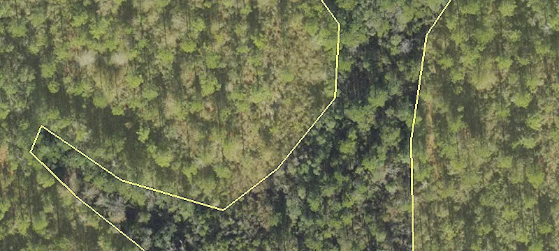 Defuniak Springs, FL 32435