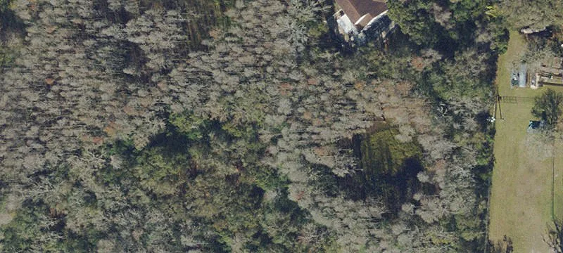Lutz, FL 33549