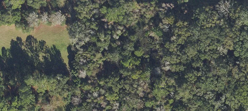 Live Oak, FL 32064