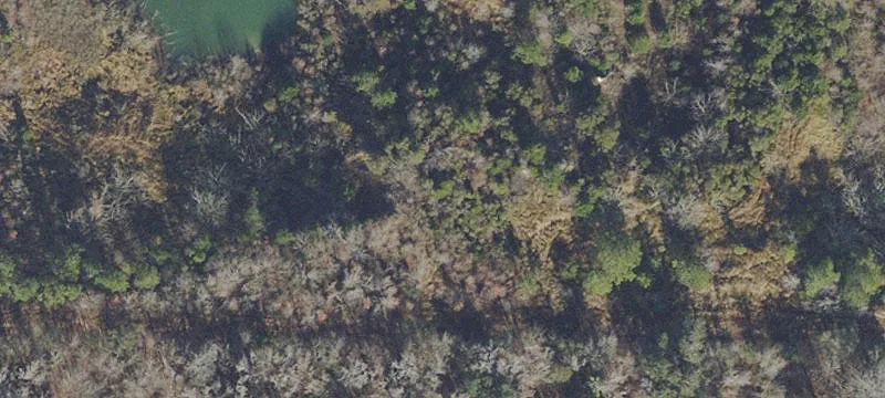 Ocala, FL 34481
