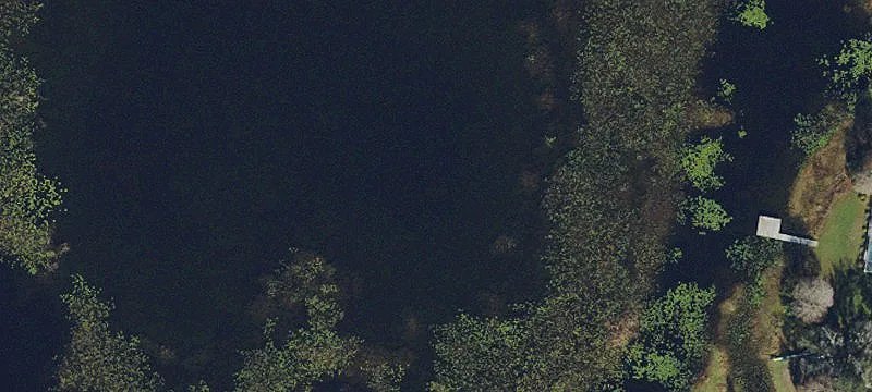 Lutz, FL 33559