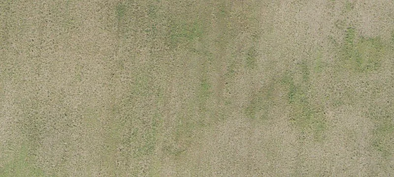 Newberry, FL 32669