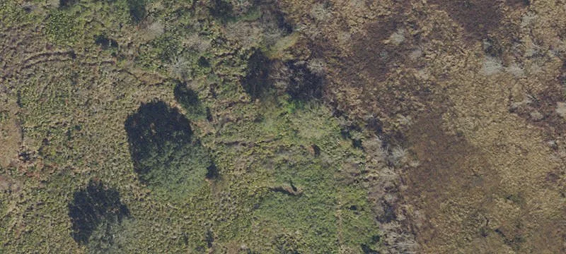 San Antonio, FL 33576