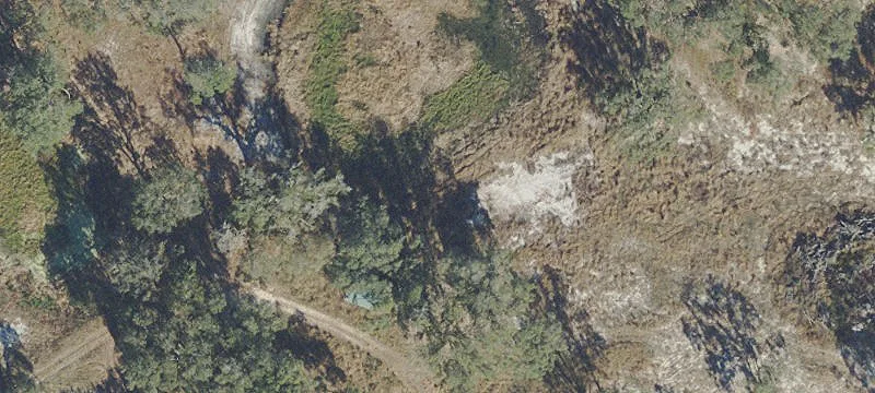 Weirsdale, FL 32195