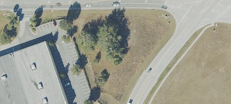 David Walker Dr