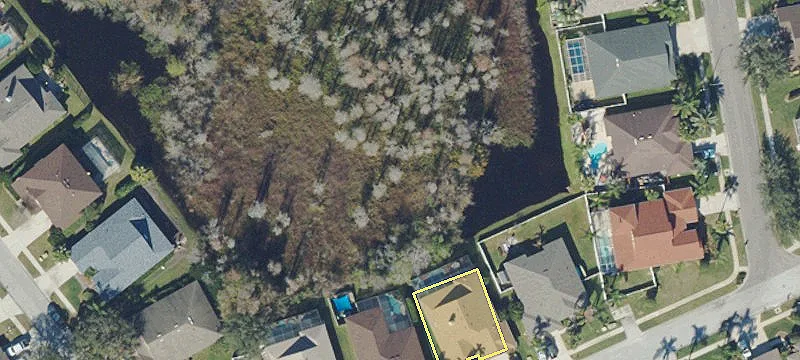 Trinity, FL 34655