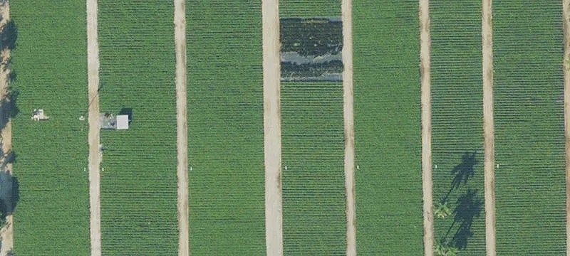 Homestead, FL 33031