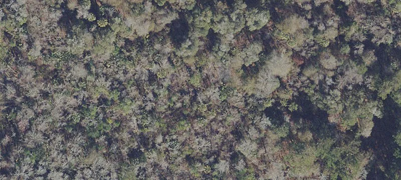 Florahome, FL 32140