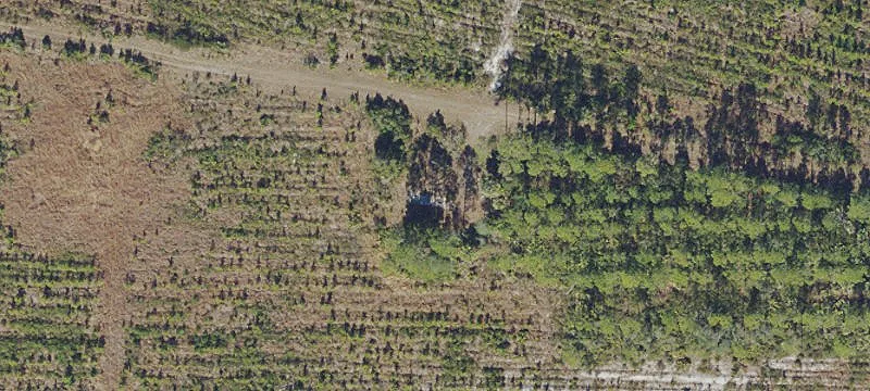 Palm Coast, FL 32164