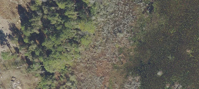 Ocklawaha, FL 32179