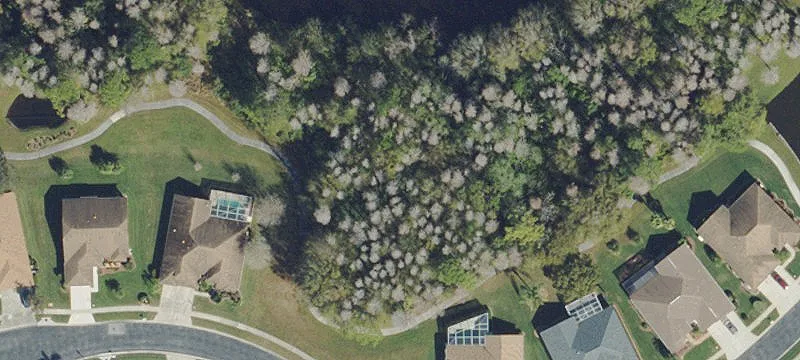Trinity, FL 34655