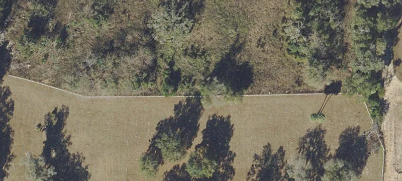 Ocala, FL 34475