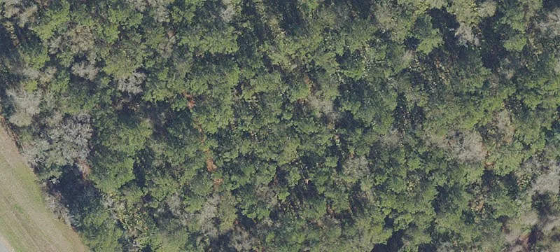 Micanopy, FL 32667