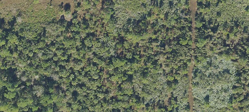 Malabar, FL 32950