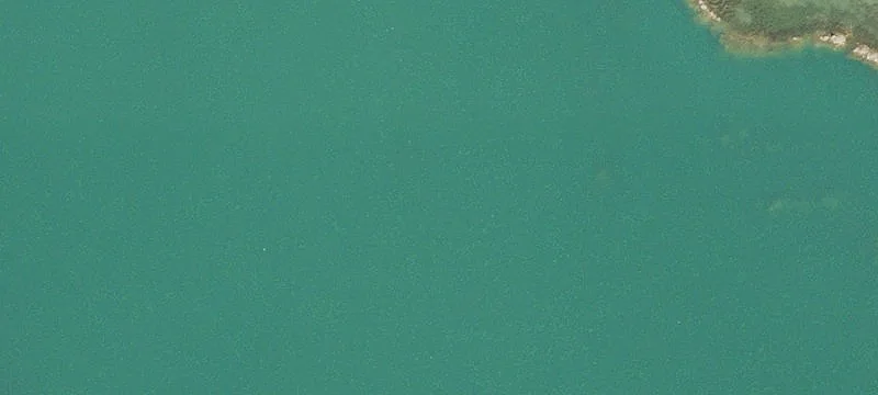 Branford, FL 32008