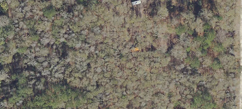 Micanopy, FL 32667