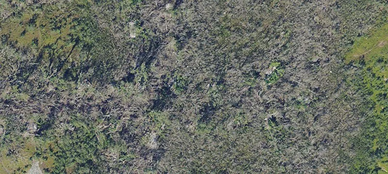 Bokeelia, FL 33922